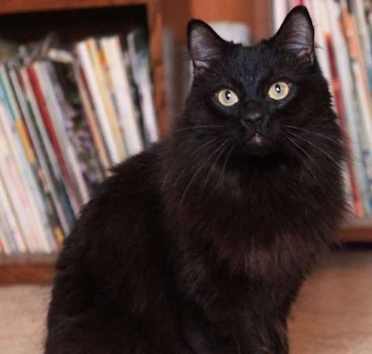 Photo of Seeley