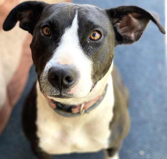 Photo of Daisy June (“DJ”)