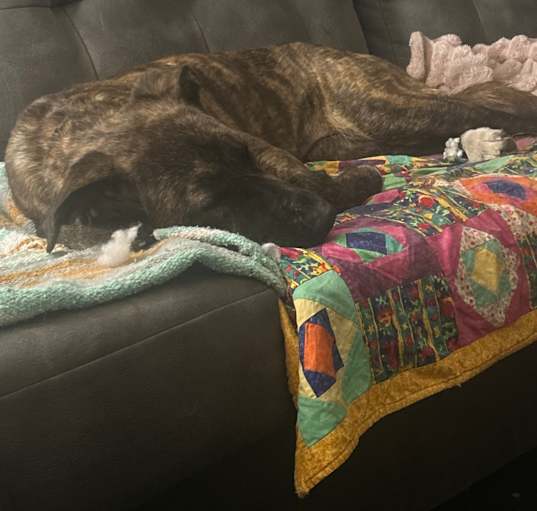 Photo of mocha