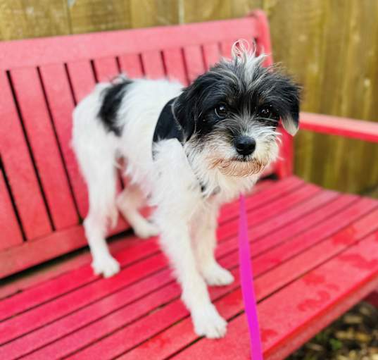 Photo of Bonny