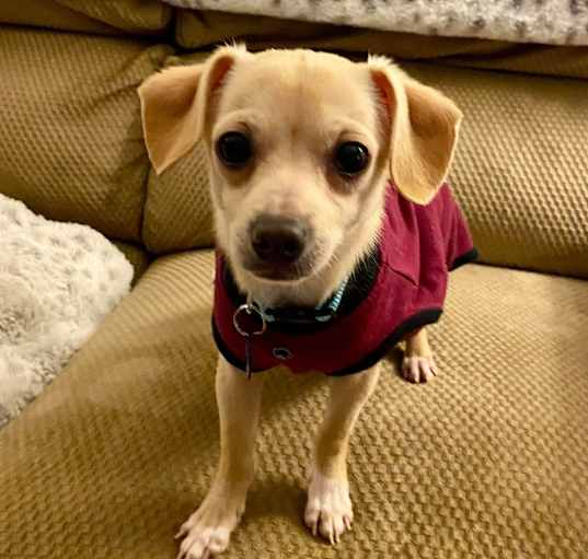 Photo of Sprout