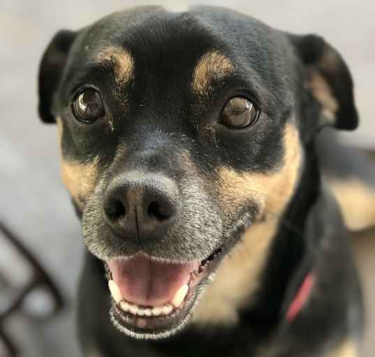 Photo of Oscar
