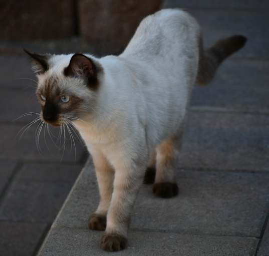 Photo of Felicity