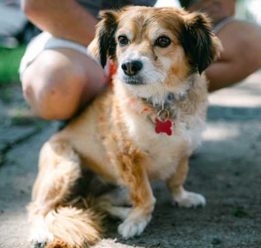 Photo of Coco
