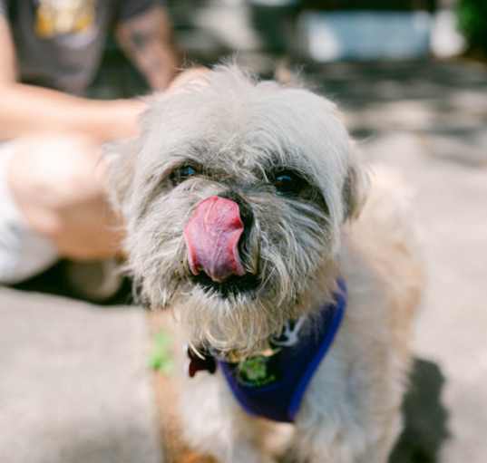 Photo of Clover