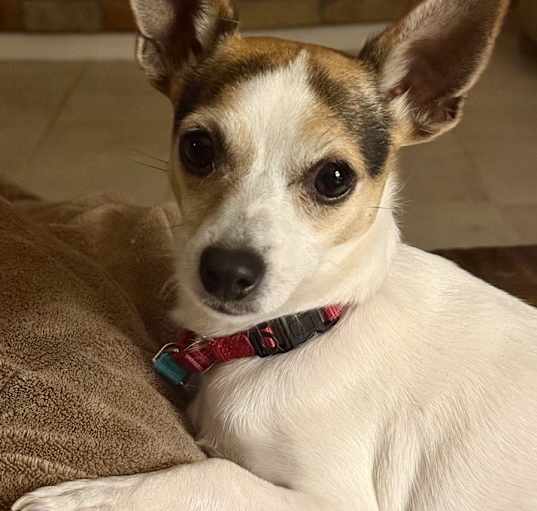Photo of Emmy
