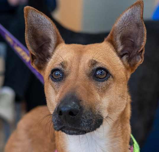 Photo of Roo Roo