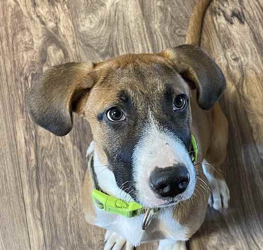 Photo of Aspen