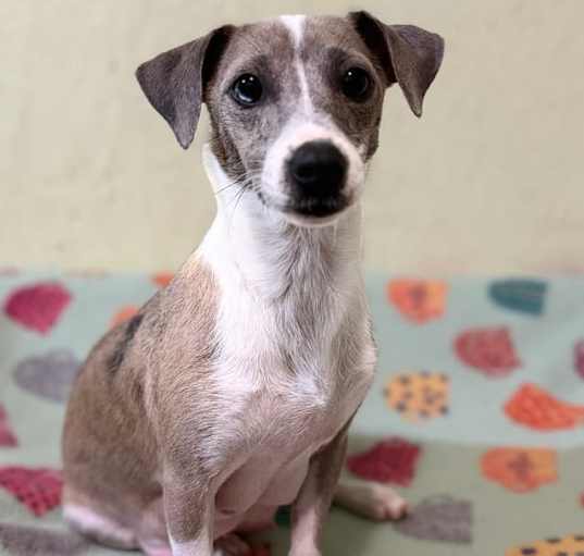 Photo of Winnie