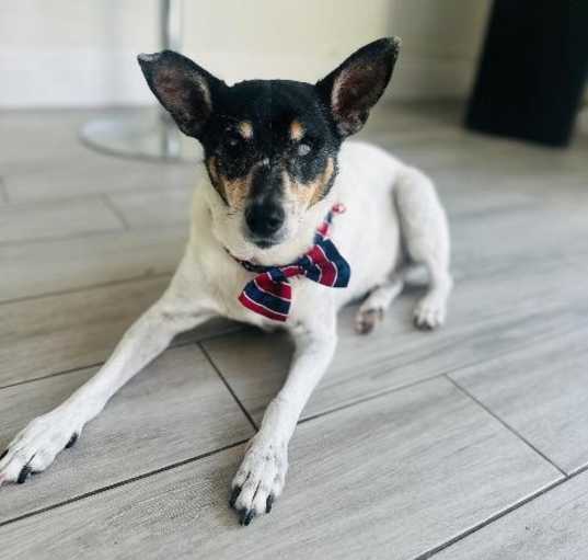 Photo of Jax