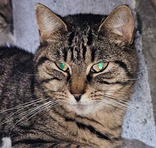 Photo of Maya