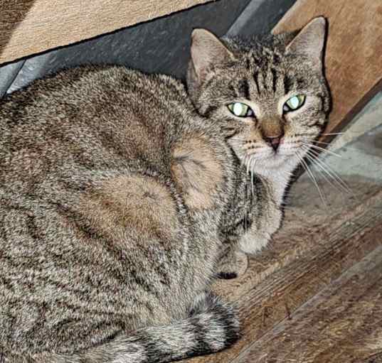 Photo of Loretta