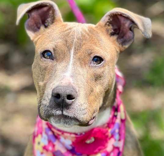 Photo of Hazel Mae