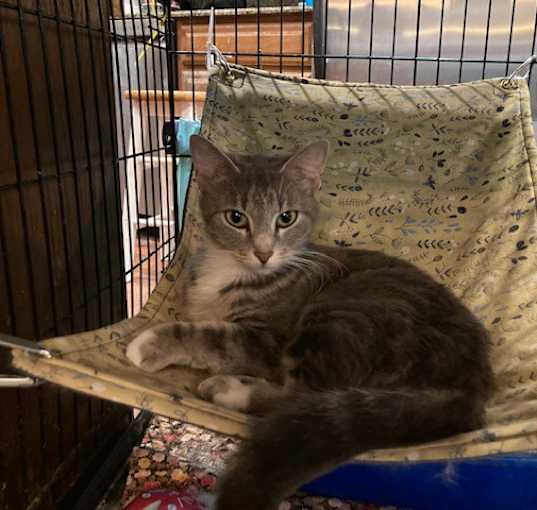 Photo of Charlotte