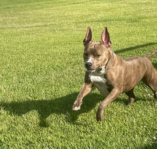 Photo of Sasha