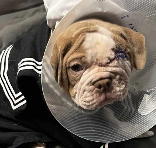 Photo of Sailor