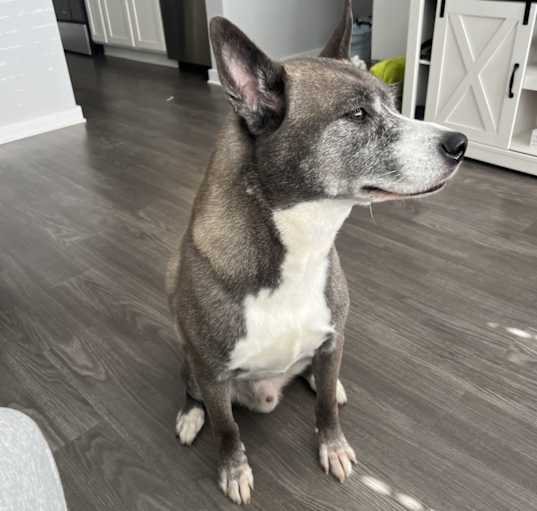 Photo of Blue