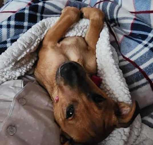 Photo of Nutty Buddy