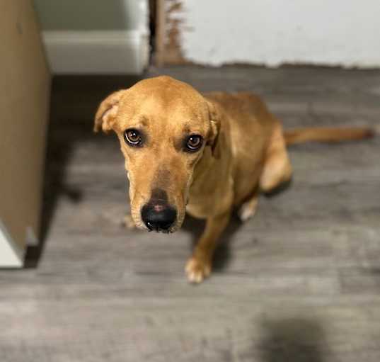 Photo of Sundance