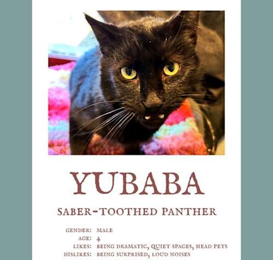Photo of Yubaba