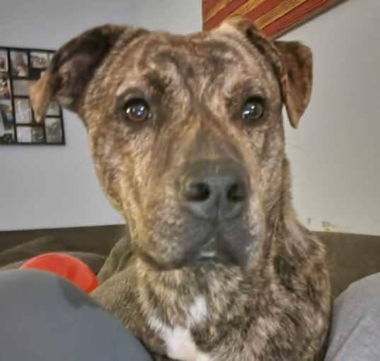 Photo of Titus