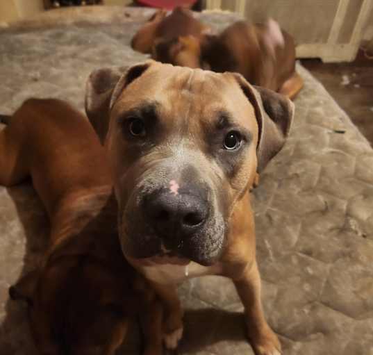 Photo of Junior