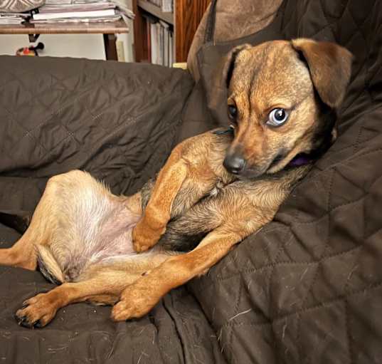 Photo of Mabel