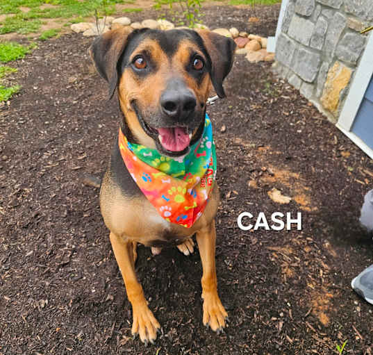 Photo of Cash