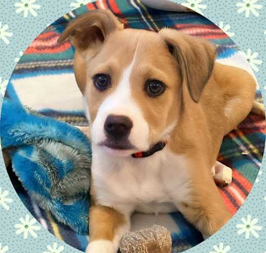Photo of MYLO