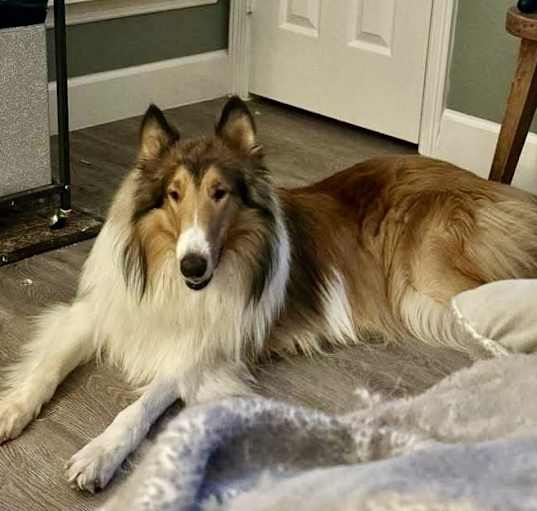 Photo of Blake