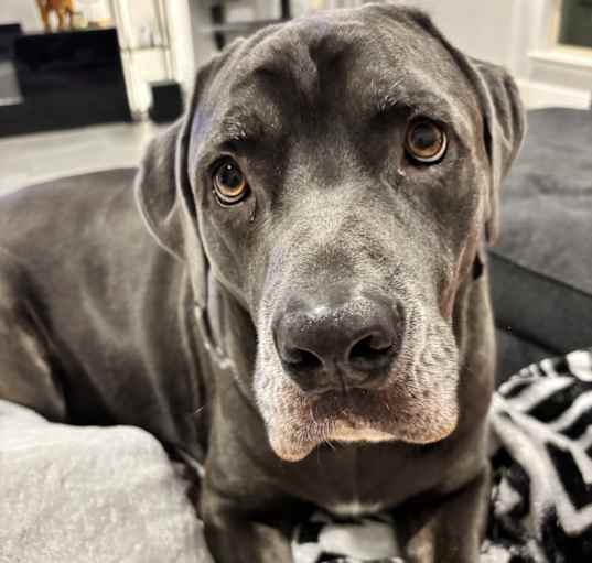 Photo of Zeus