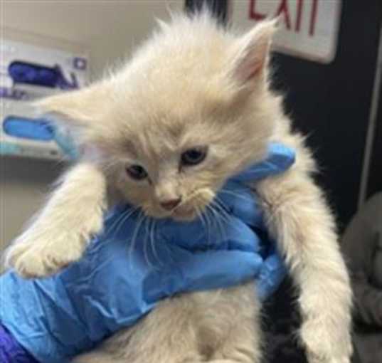 Photo of ED- IN FOSTER