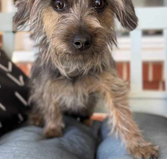 Photo of Ruffles