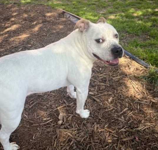 Photo of SUGAR