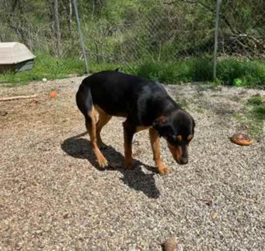 Photo of Brandie