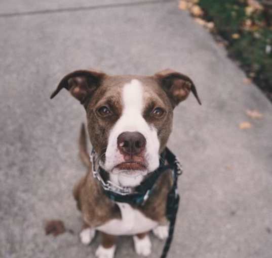 Photo of Quincy
