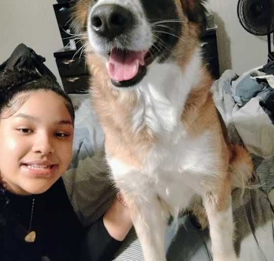 Photo of Rosie