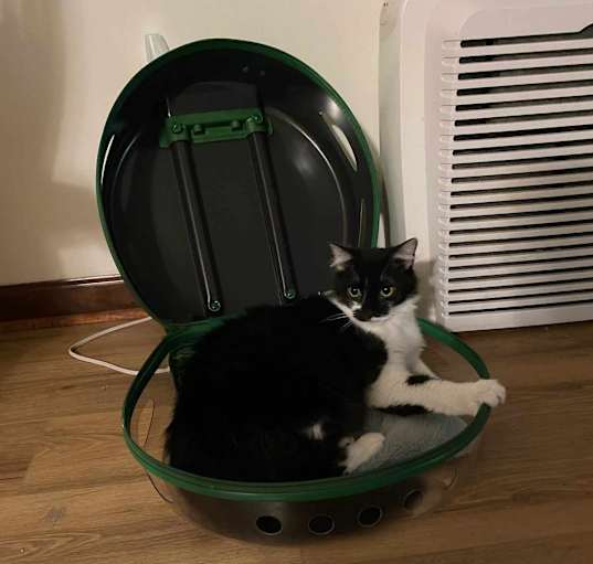 Photo of Milo