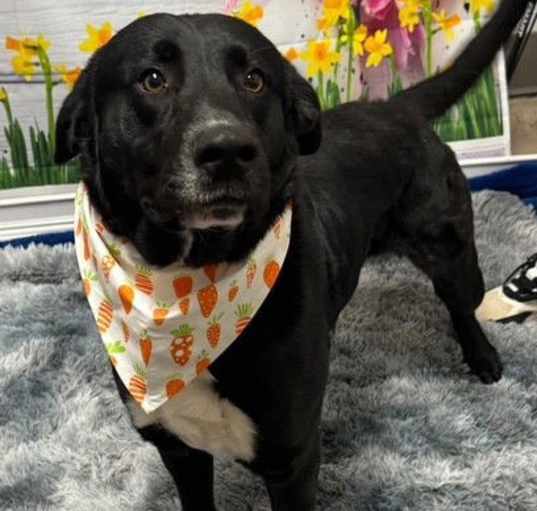 Photo of Kylo