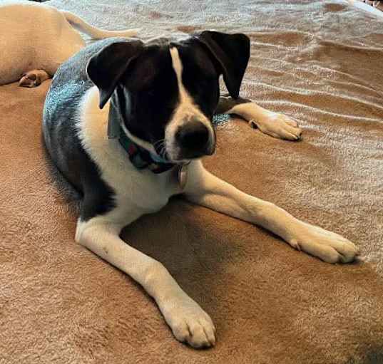 Photo of Sammy