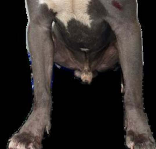 Photo of BOBBY