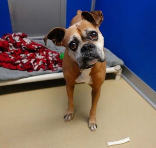 Photo of Skittles