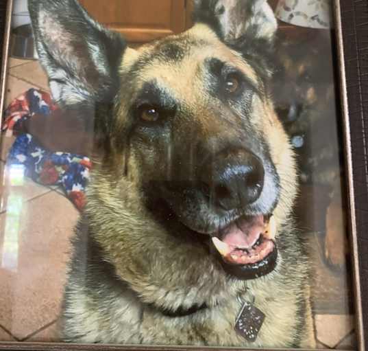 Photo of Zeke