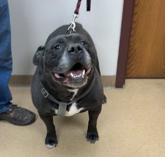 Photo of Zeus