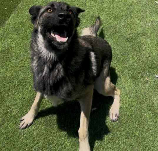 Photo of Sheila*