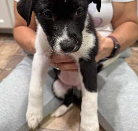 Photo of Jill