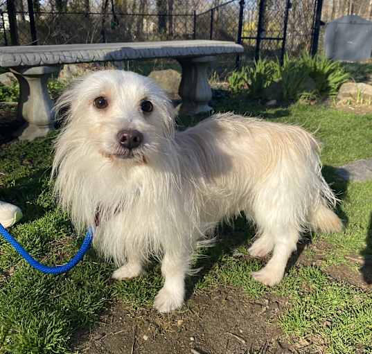 Photo of Spunky