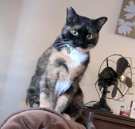 Photo of Mugzy