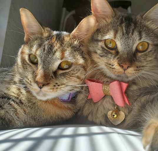 Photo of Tera & Nora