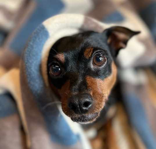 Photo of Sally